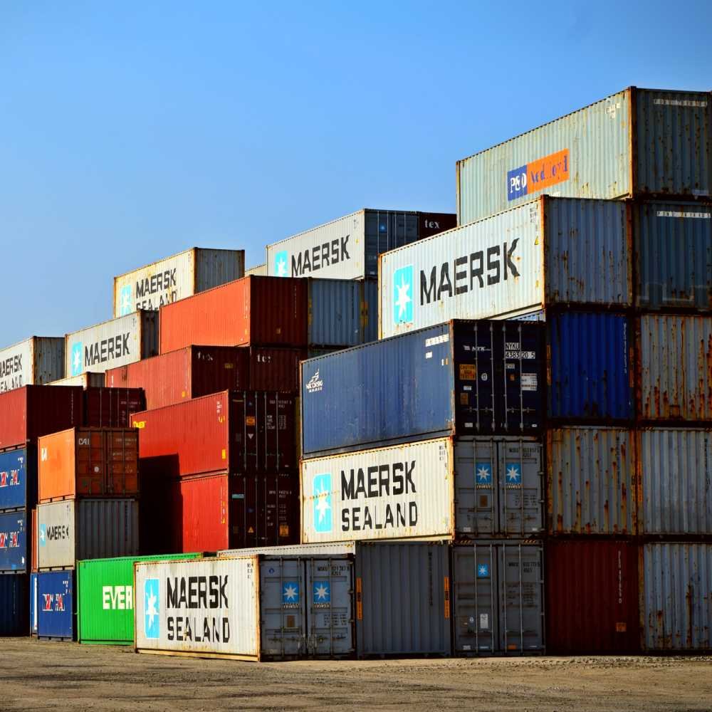 Professional Management